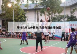 马特乌斯比分预测,马特乌斯进球数据