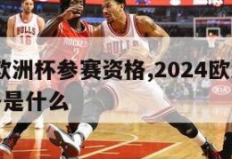 2024欧洲杯参赛资格,2024欧洲杯参赛资格是什么