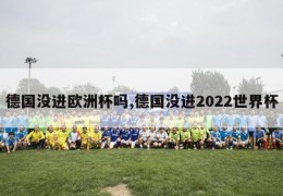 德国没进欧洲杯吗,德国没进2022世界杯