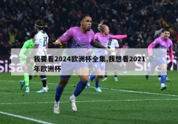 我要看2024欧洲杯全集,我想看2021年欧洲杯