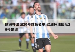 欧洲杯法国20号球员名单,欧洲杯法国队20号是谁