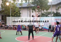 nba小牛吧,nba小牛队现在叫什么名字