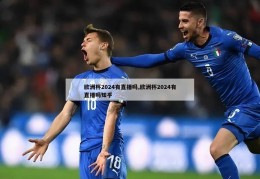 欧洲杯2024有直播吗,欧洲杯2024有直播吗知乎