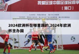 2024欧洲杯在哪里踢的,2024年欧洲杯主办国