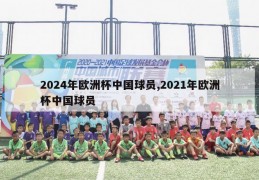 2024年欧洲杯中国球员,2021年欧洲杯中国球员