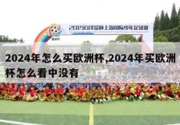 2024年怎么买欧洲杯,2024年买欧洲杯怎么看中没有