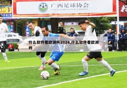 什么软件看欧洲杯2024,什么软件看欧洲杯