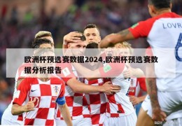 欧洲杯预选赛数据2024,欧洲杯预选赛数据分析报告