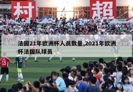 法国21年欧洲杯人员数量,2021年欧洲杯法国队球员