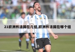 21欧洲杯法国在几组,欧洲杯法国在哪个组